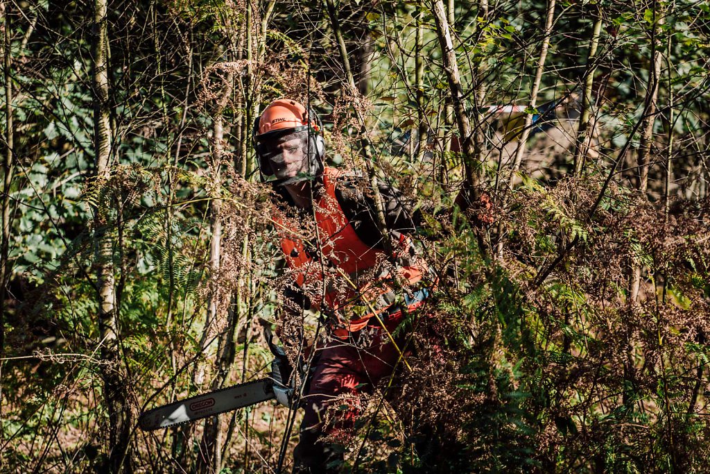 Hambacher Forst evection 2018