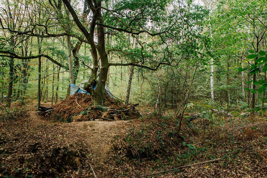 Hambacher Forst evection 2018